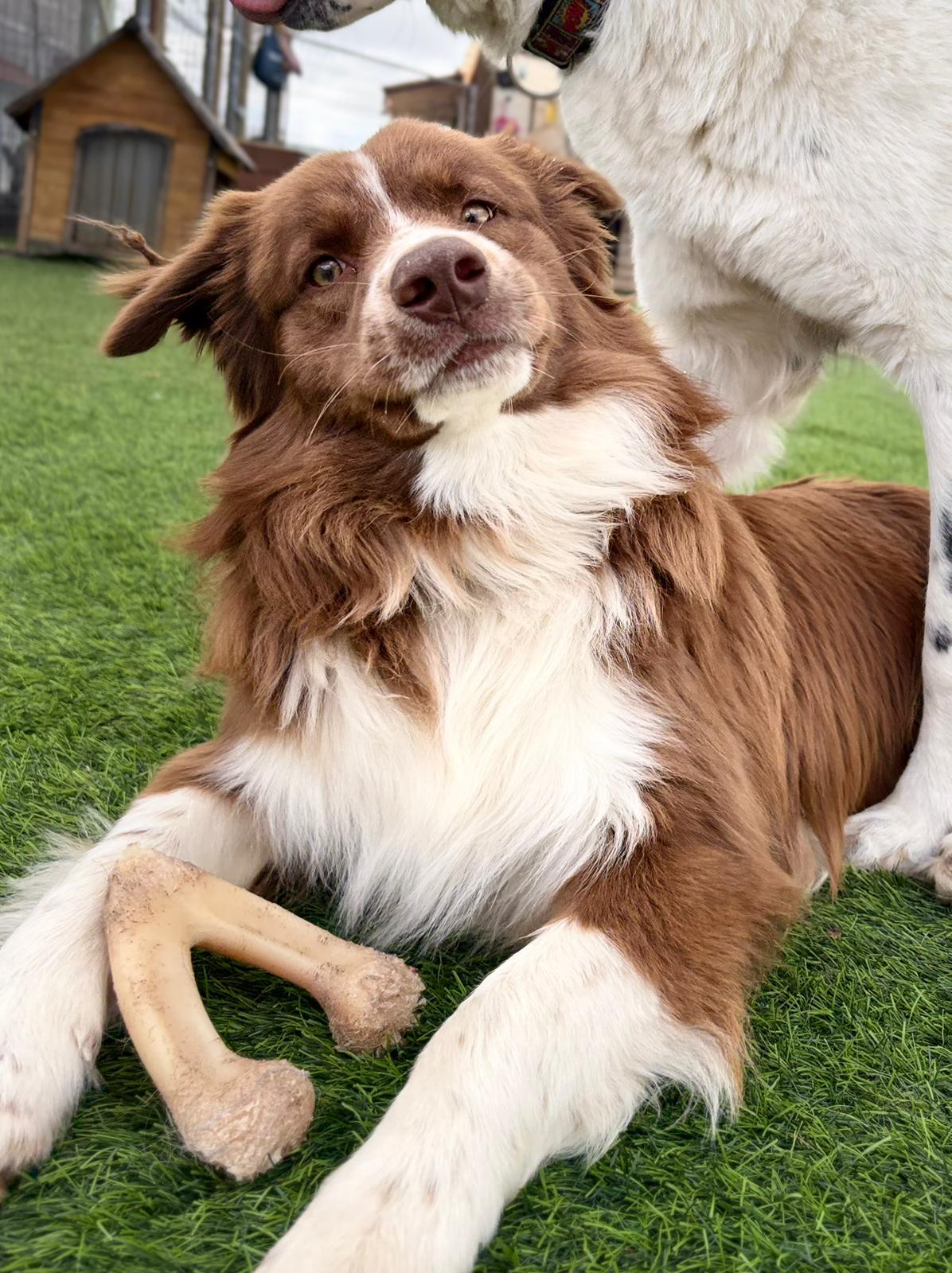 PHOTO-2026-03-16-09-26-49