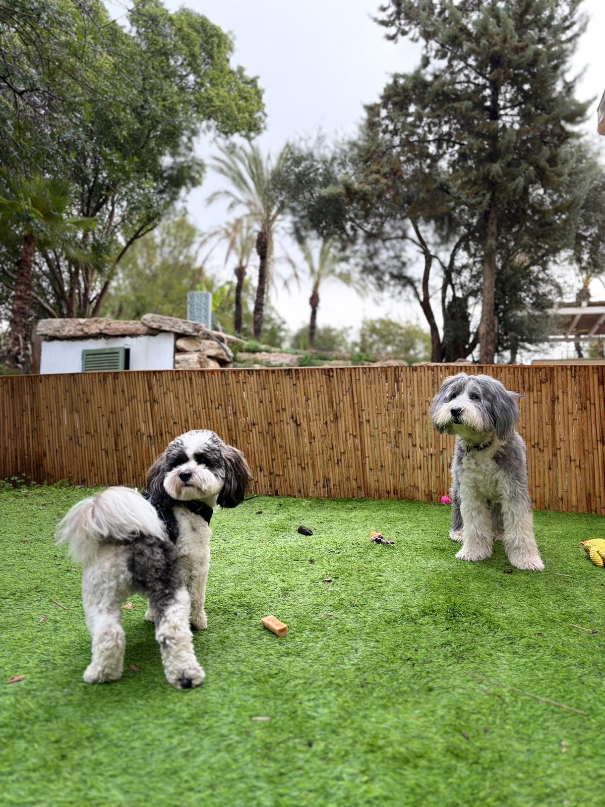 PHOTO-2026-03-16-09-28-46