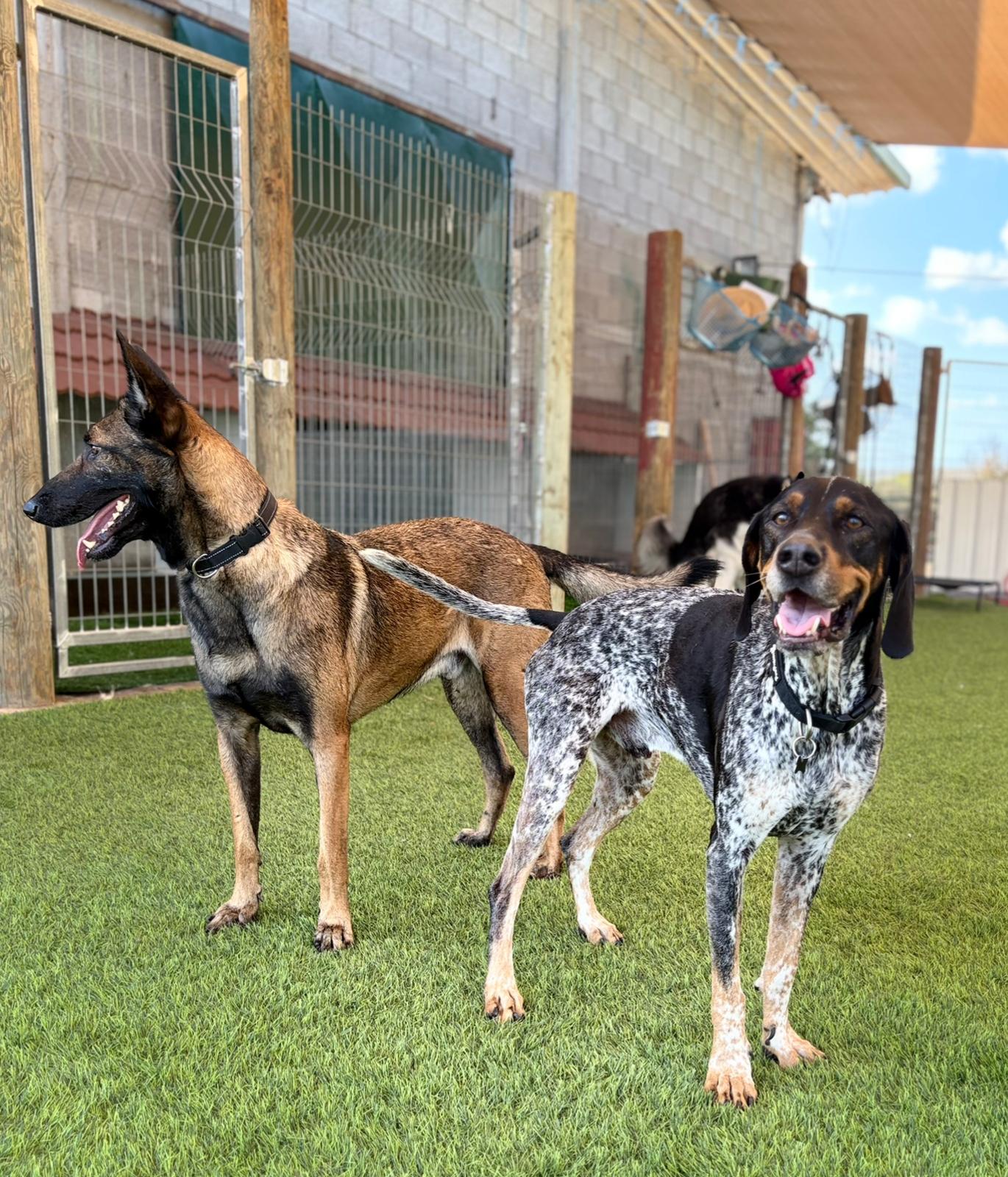 PHOTO-2026-03-16-09-30-40