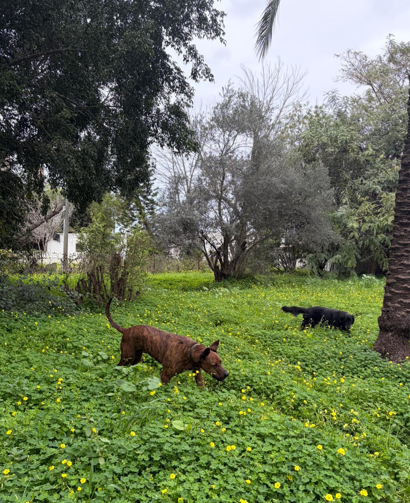 PHOTO-2026-03-16-09-33-00