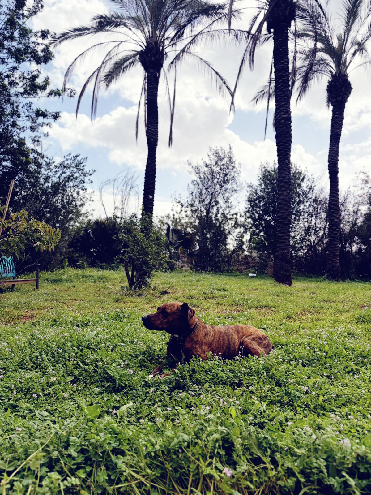 PHOTO-2026-03-16-09-37-01