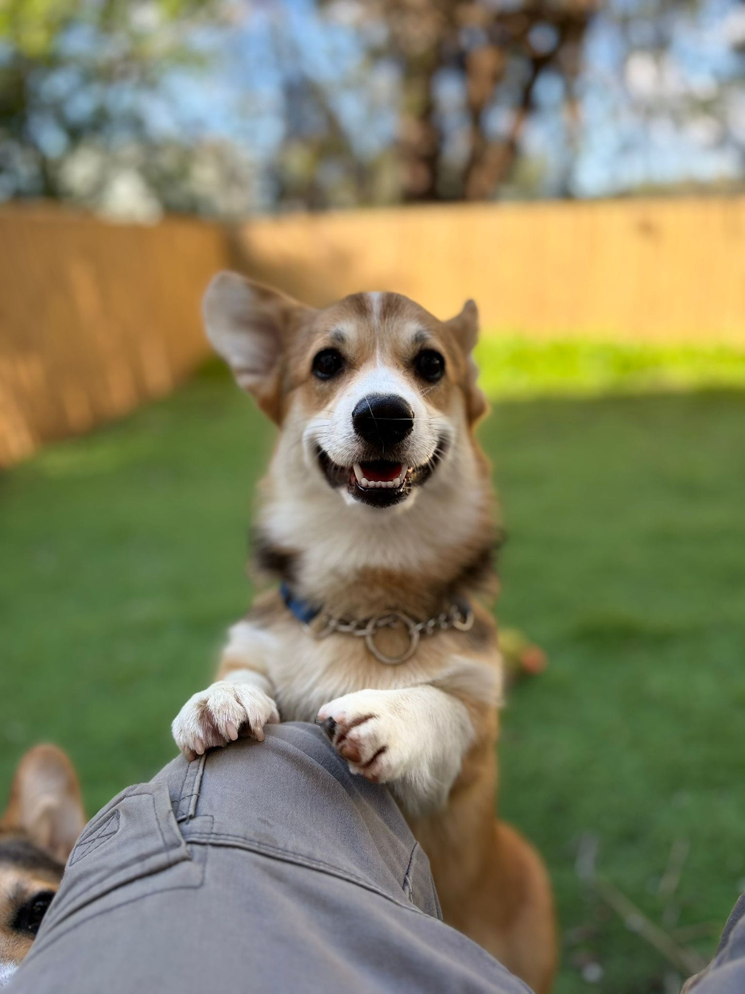 PHOTO-2026-03-16-09-40-18