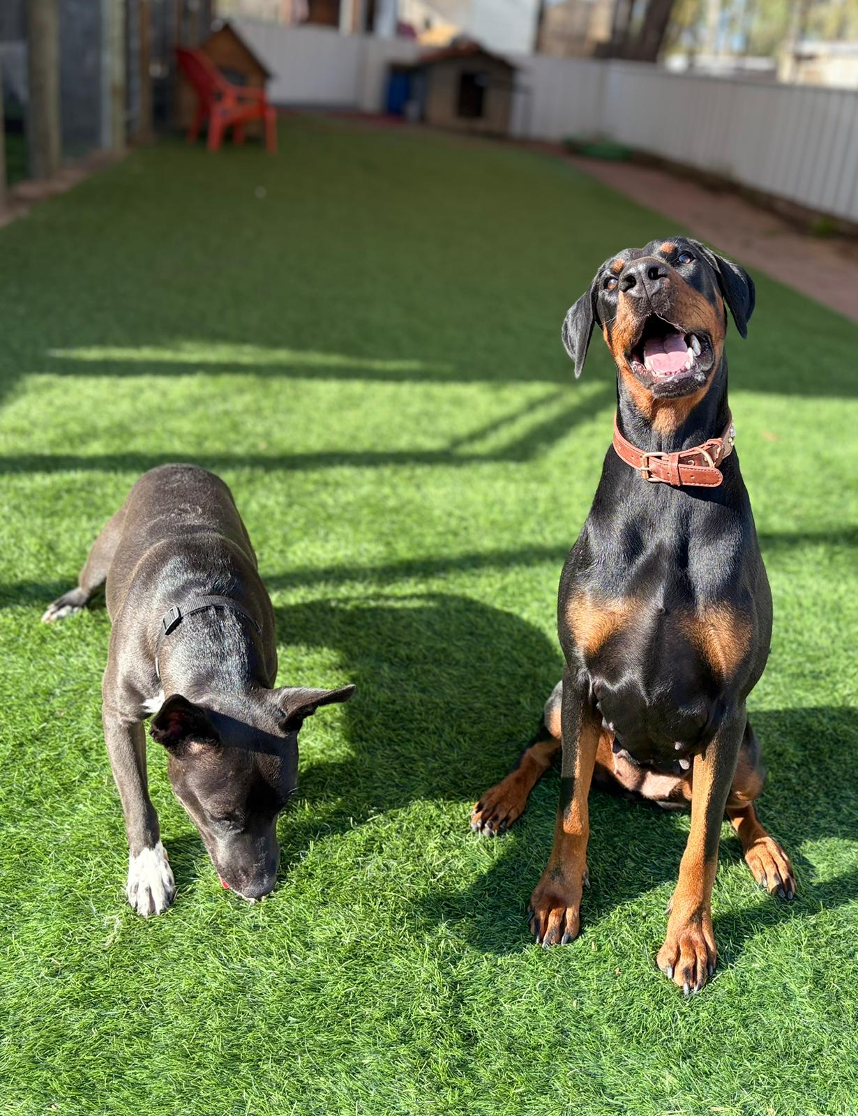 PHOTO-2026-03-16-09-45-45