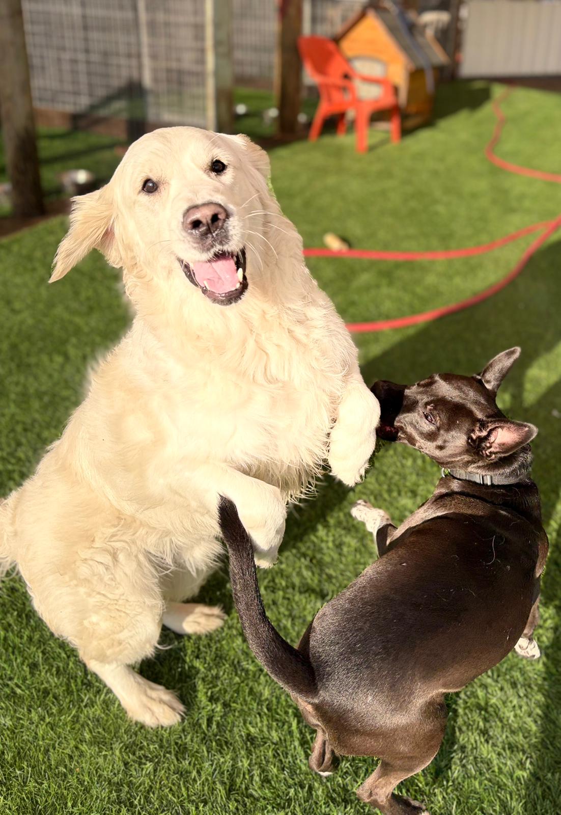 PHOTO-2026-03-16-09-47-00