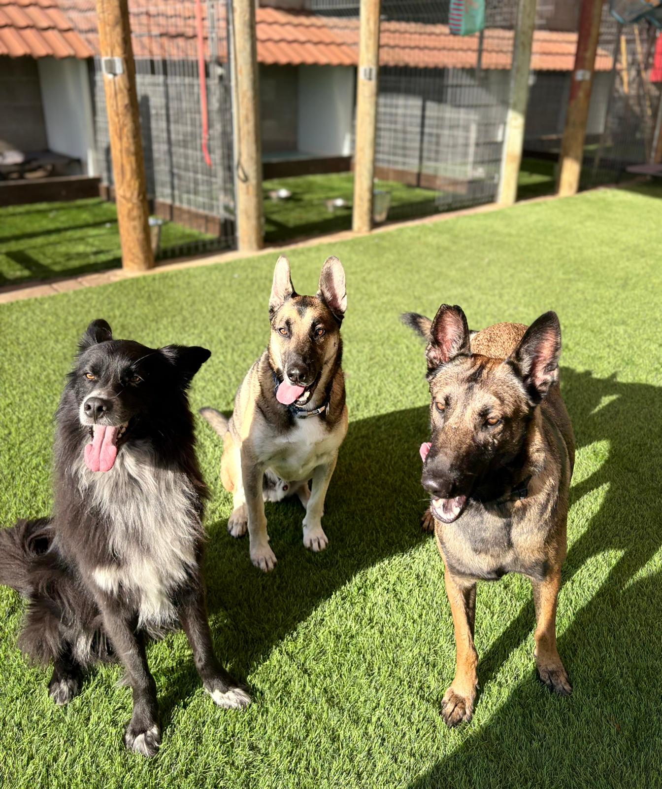 PHOTO-2026-03-16-09-51-47