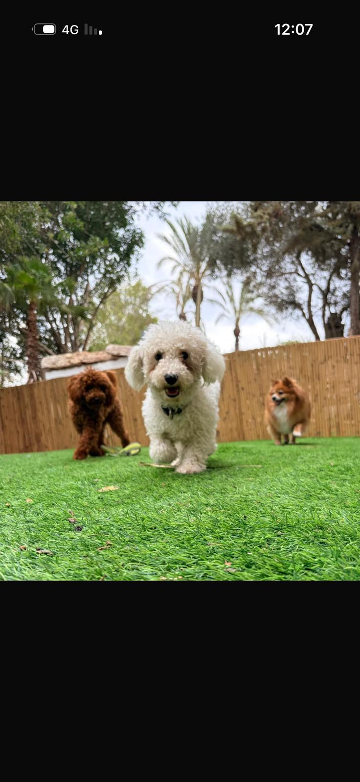 PHOTO-2026-03-16-09-54-34