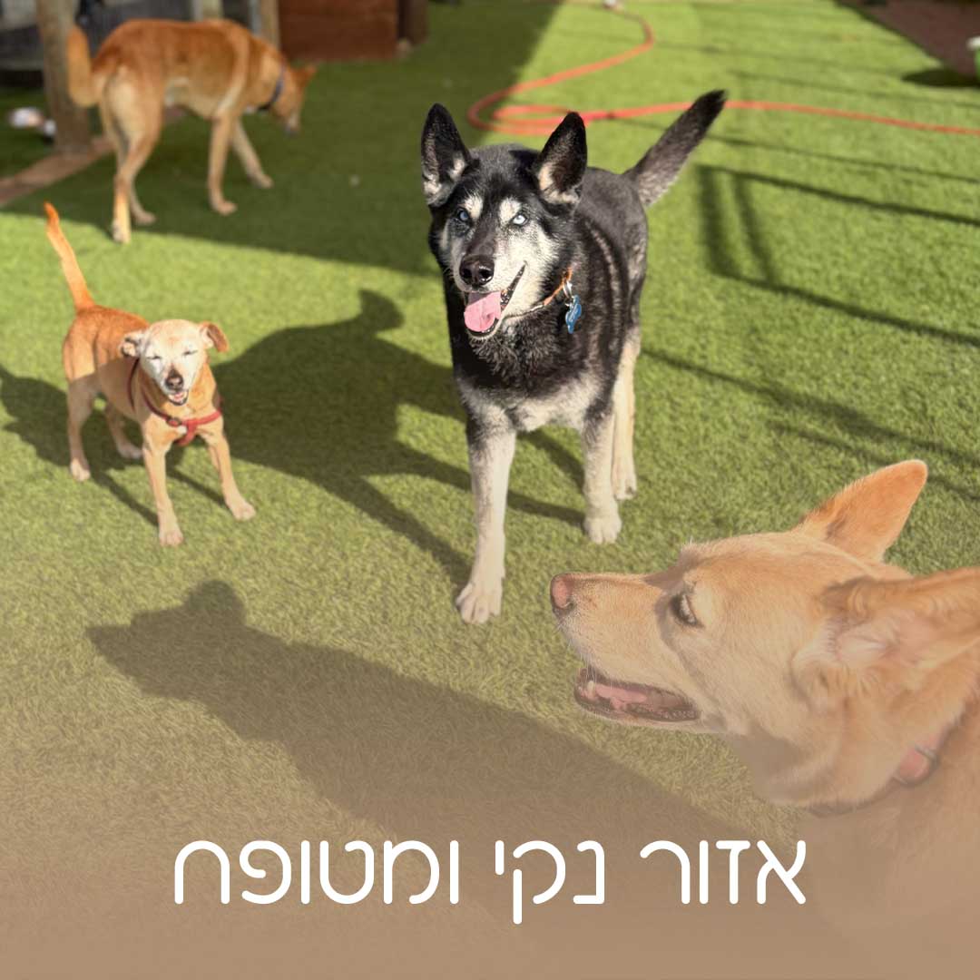 כלאב מד