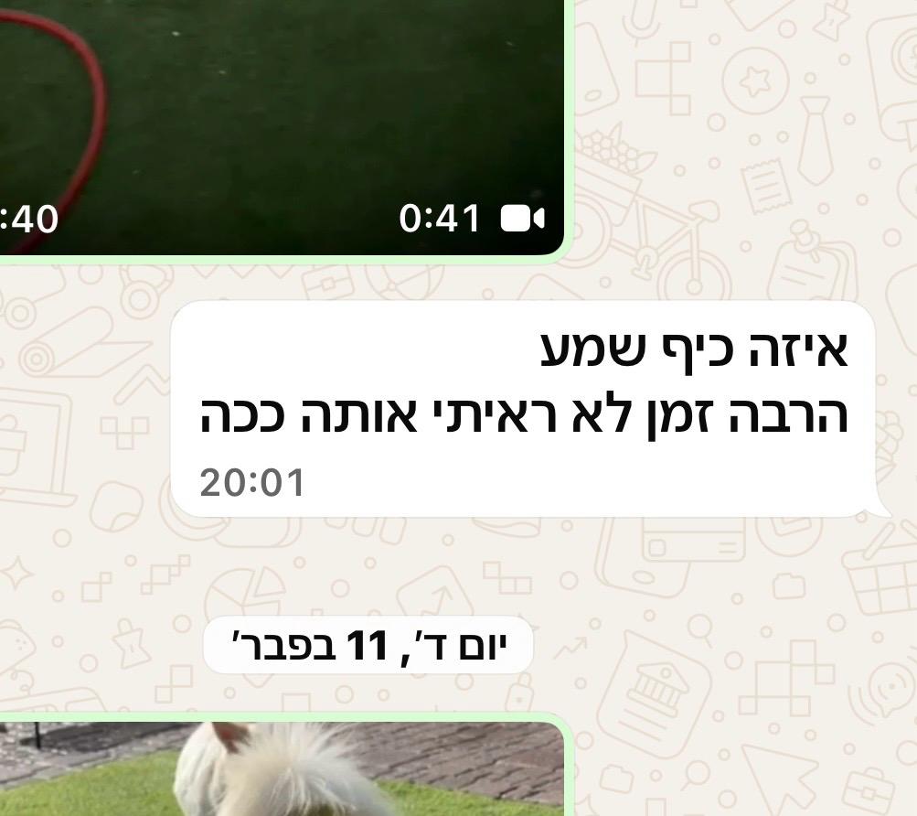 ביקורת 4